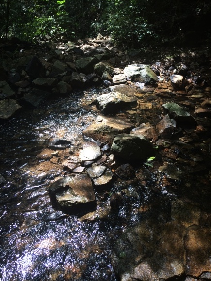 e0376642_20583929.jpg