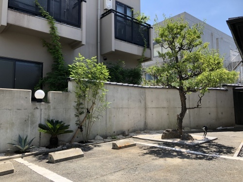 竹の脅威と新規植栽_f0215262_00255671.jpg