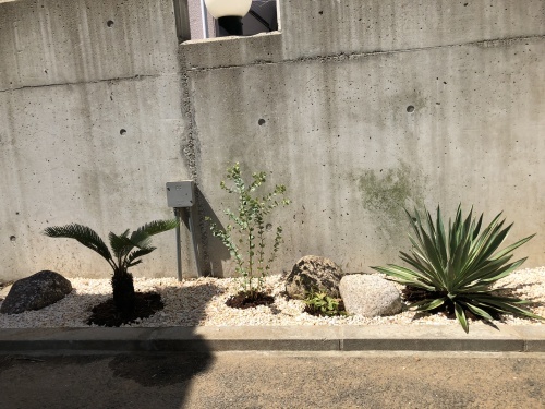 竹の脅威と新規植栽_f0215262_00261274.jpg