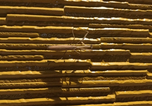 a0053063_11174145.jpeg