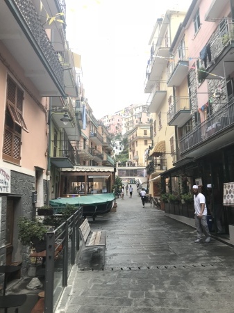港の猫たち_a0136671_02484475.jpeg