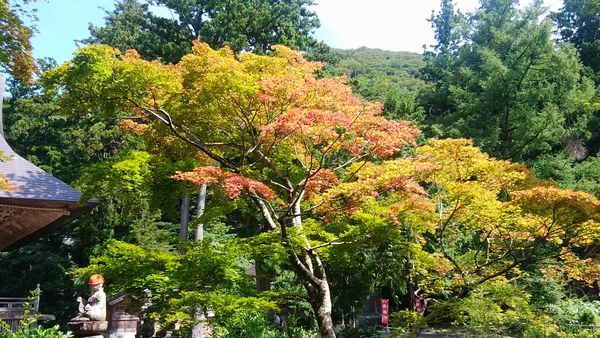 b0161371_07192310.jpg