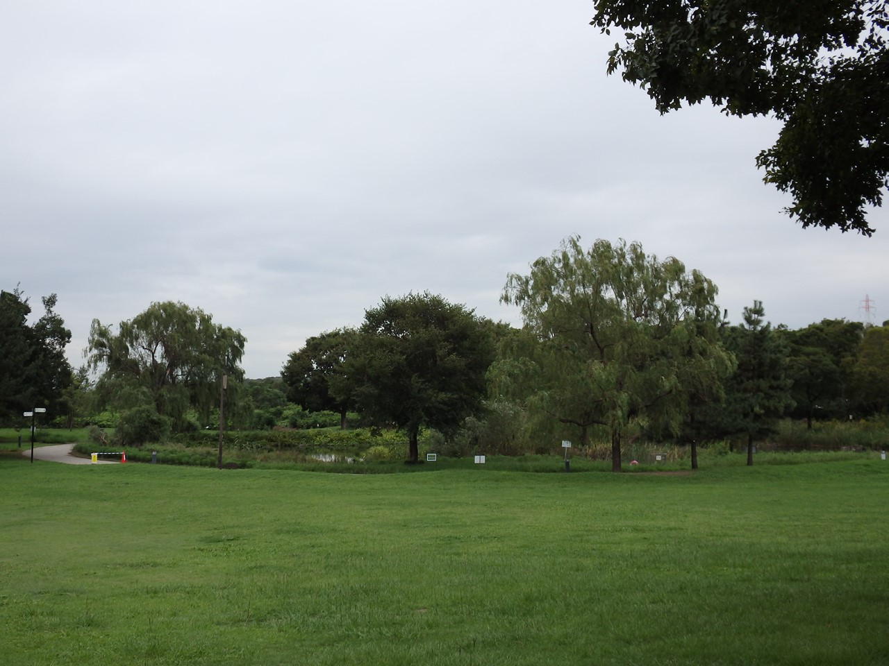 d0054276_201613.jpg