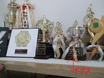 d0017084_8401084.jpg