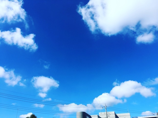 a0129492_17273313.jpeg