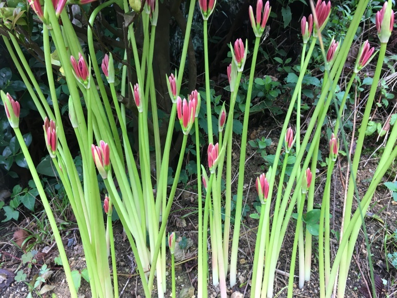 b0220002_16314314.jpeg