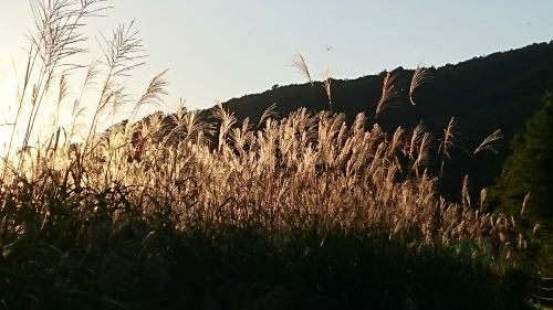 b0172805_23181928.jpg
