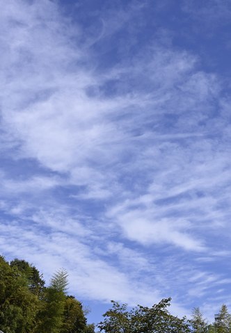 c0134805_16370658.jpg