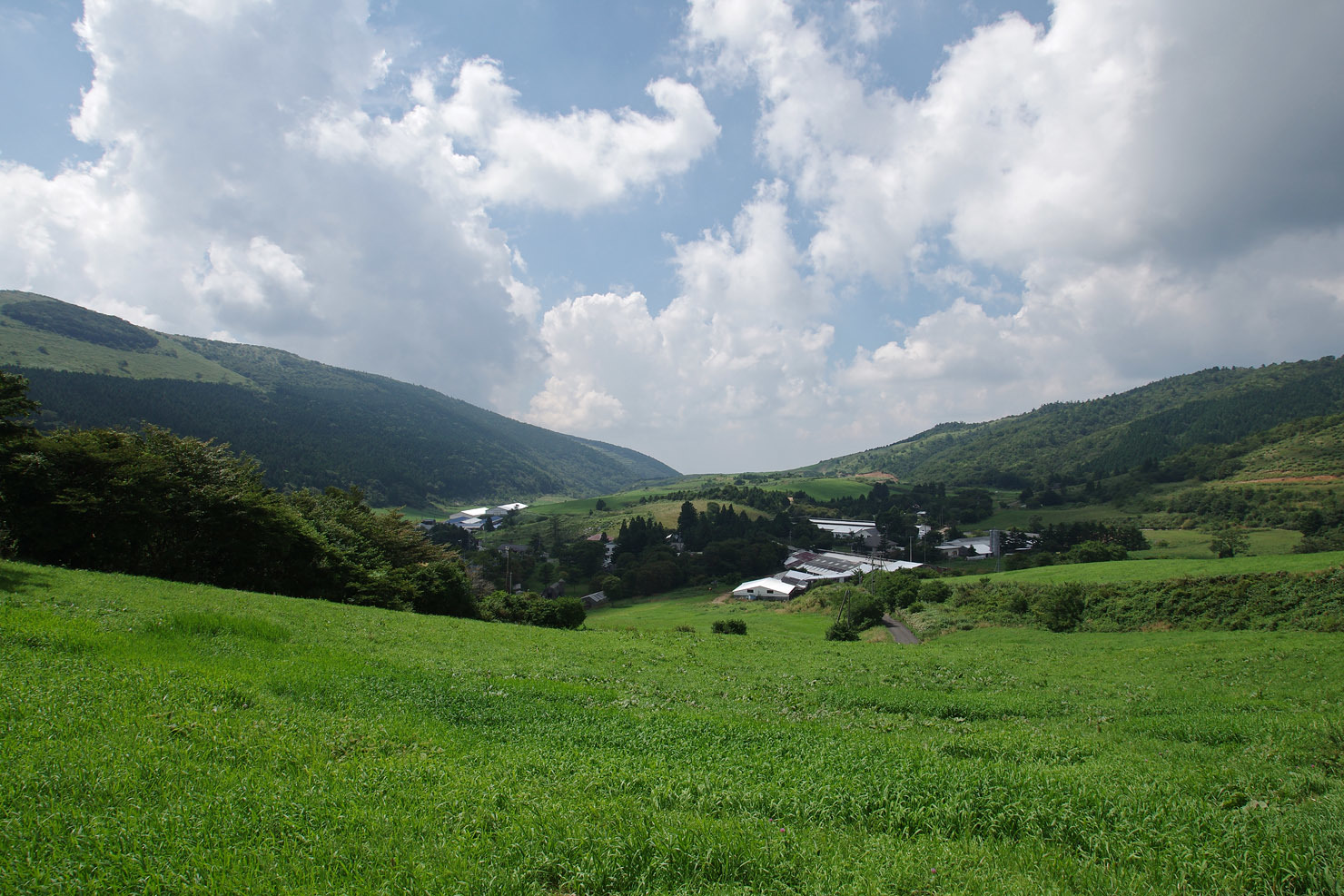 その4 夏の終わりのソロキャンプ旅。大野ヶ原～姫鶴平へ_b0351506_17204592.jpg