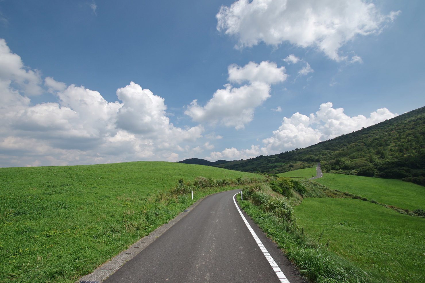 その4 夏の終わりのソロキャンプ旅。大野ヶ原～姫鶴平へ_b0351506_17205508.jpg