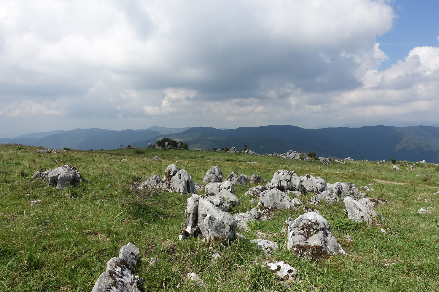 その4 夏の終わりのソロキャンプ旅。大野ヶ原～姫鶴平へ_b0351506_17210967.jpg