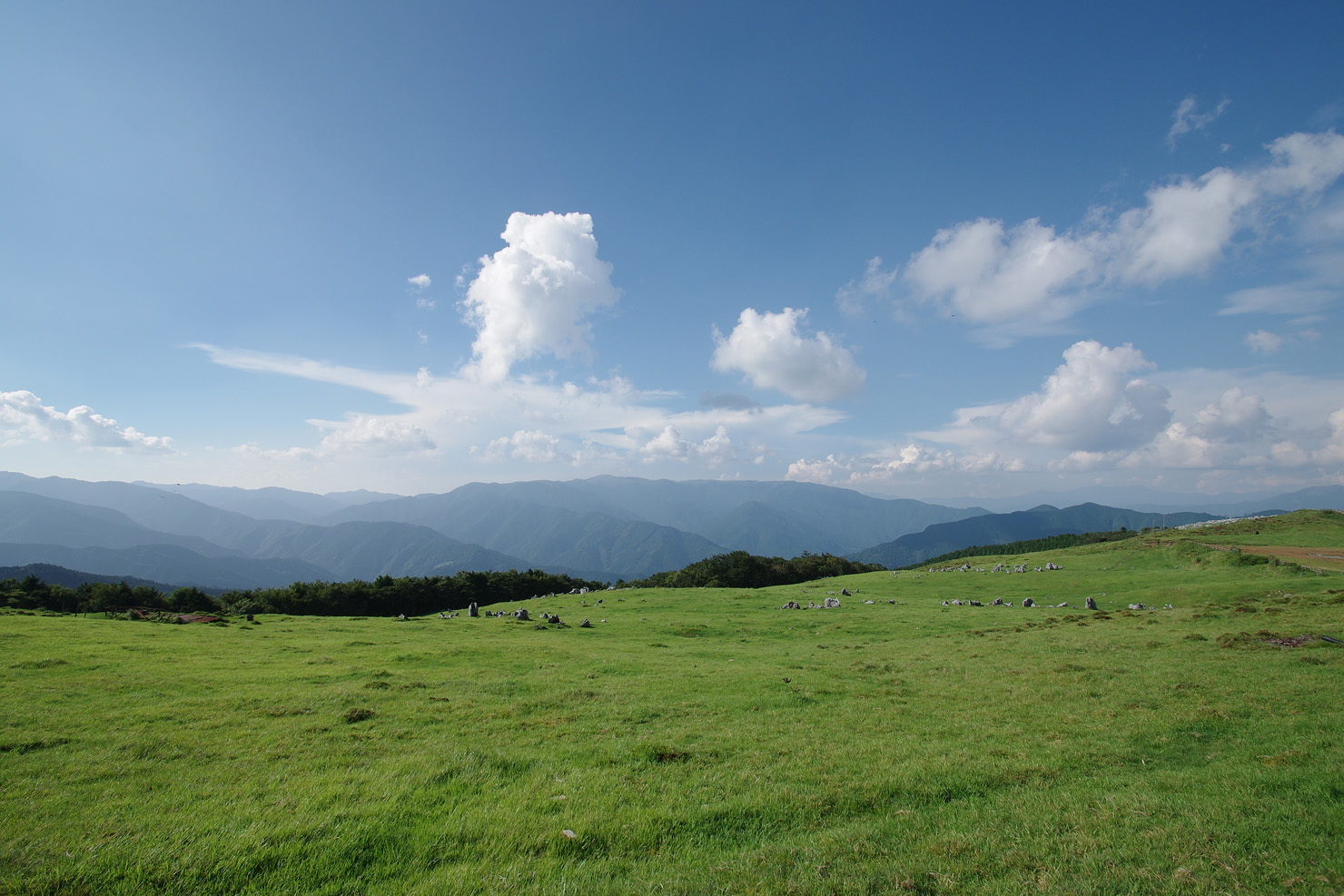 その4 夏の終わりのソロキャンプ旅。大野ヶ原～姫鶴平へ_b0351506_22184393.jpg