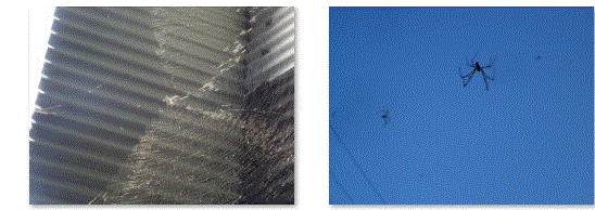 f0231709_22353078.gif