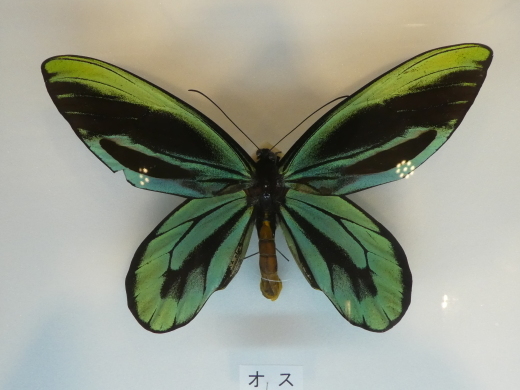 c0062511_21080699.jpg
