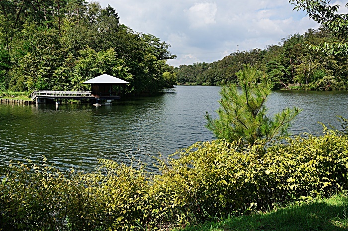 b0068423_19484172.jpg
