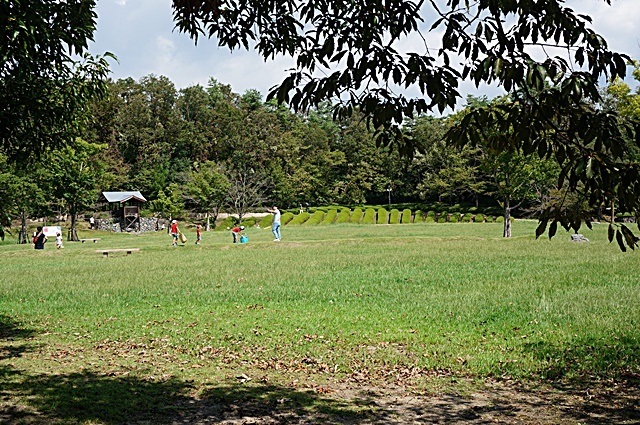 b0068423_19585322.jpg