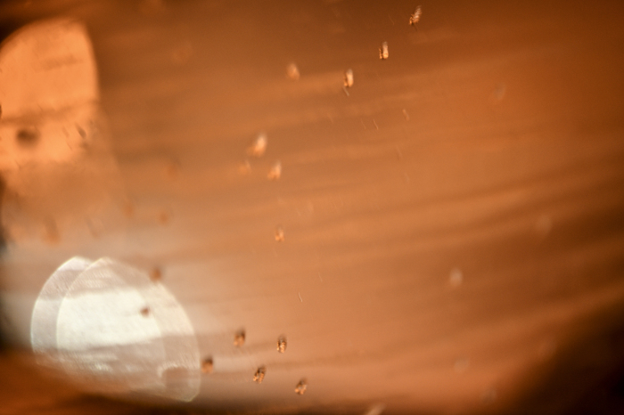 d0265224_19145917.jpg