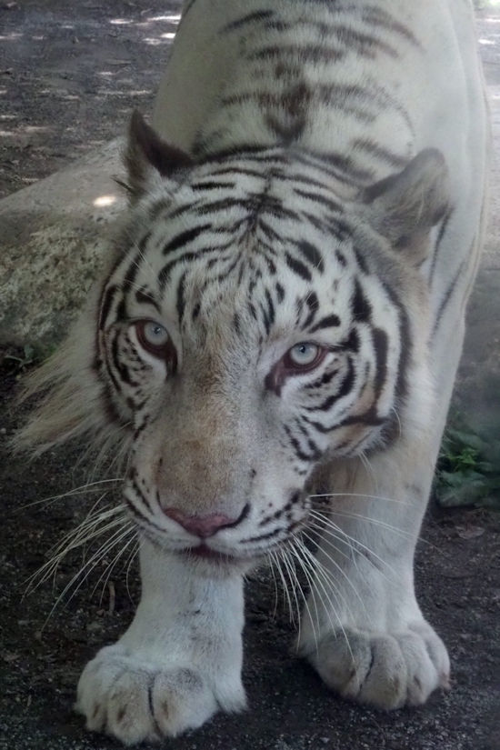 f0224624_21090216.jpg