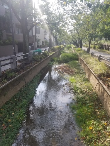 病癒えて_e0016828_10470289.jpg