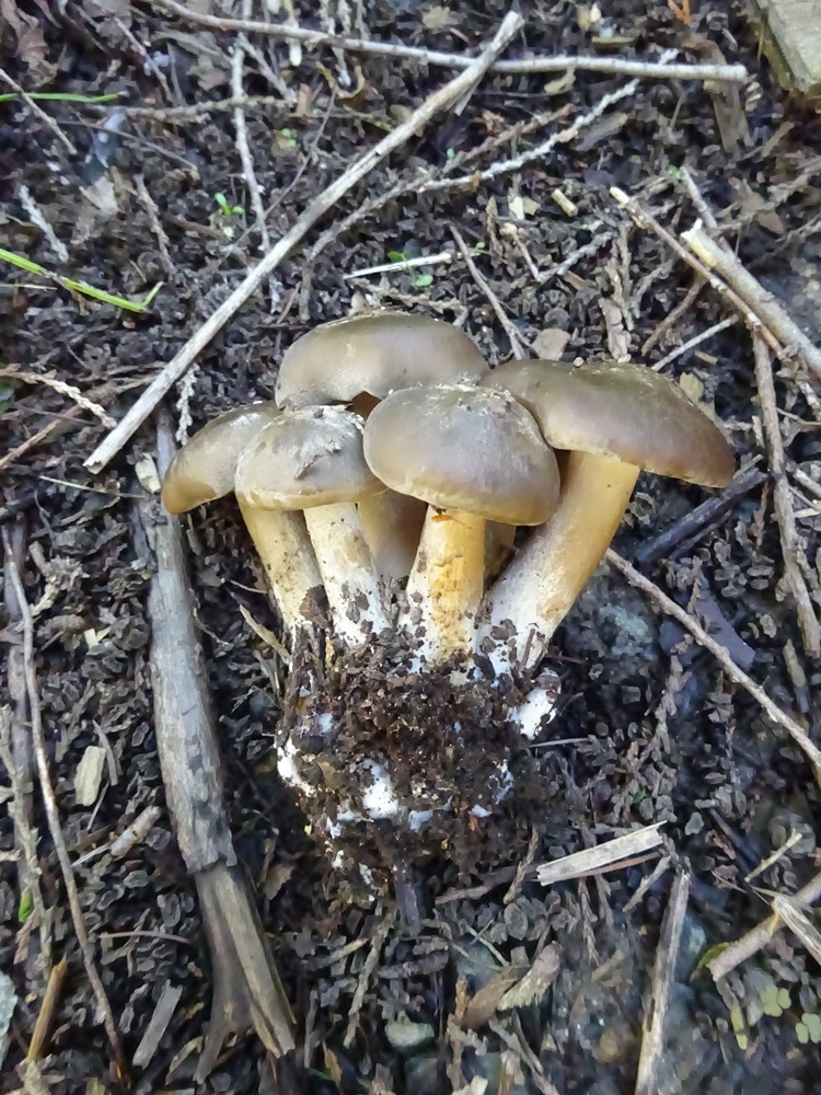 c0111229_19144335.jpg