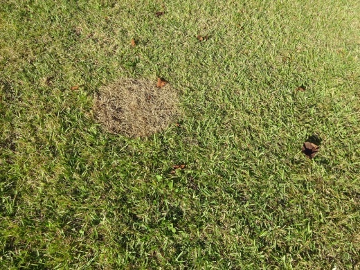 c0111229_19145073.jpg