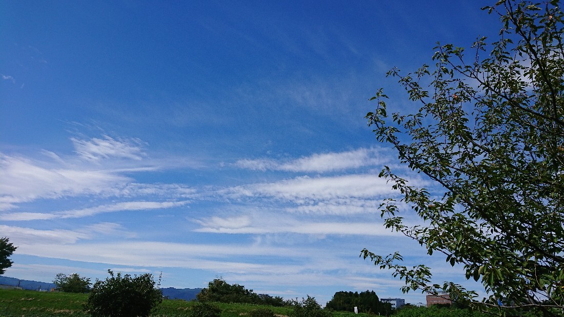 e0137130_22431997.jpg
