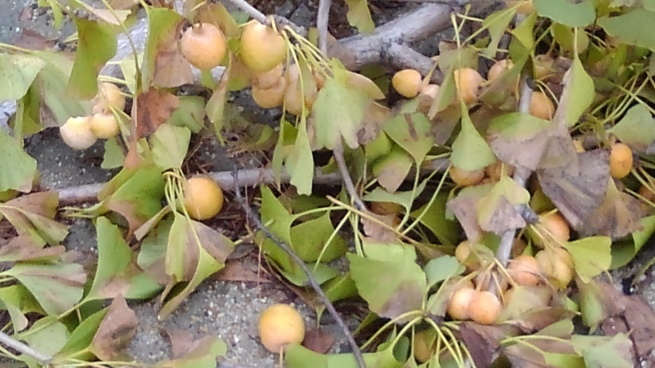 c0236632_07062242.jpg