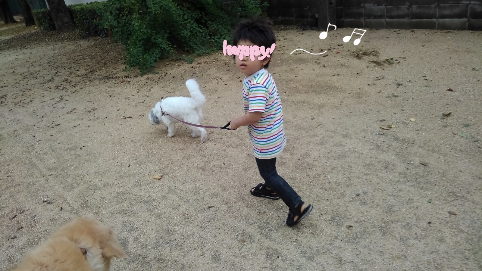 c0236632_07095690.jpg