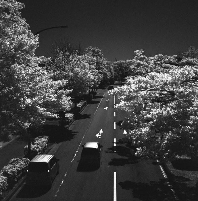 f0265234_21270364.jpg