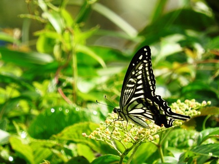 a0123836_13592895.jpg