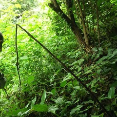 c0077338_07043975.jpg