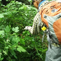 c0077338_07045923.jpg