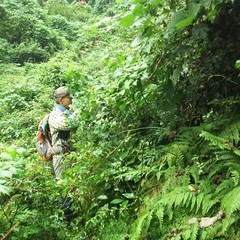 c0077338_07054233.jpg