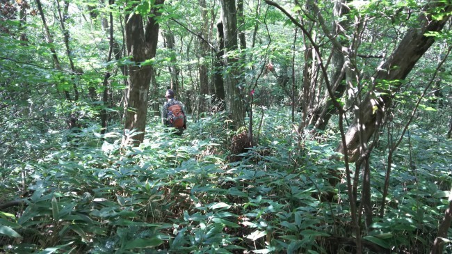 c0077338_07061551.jpg
