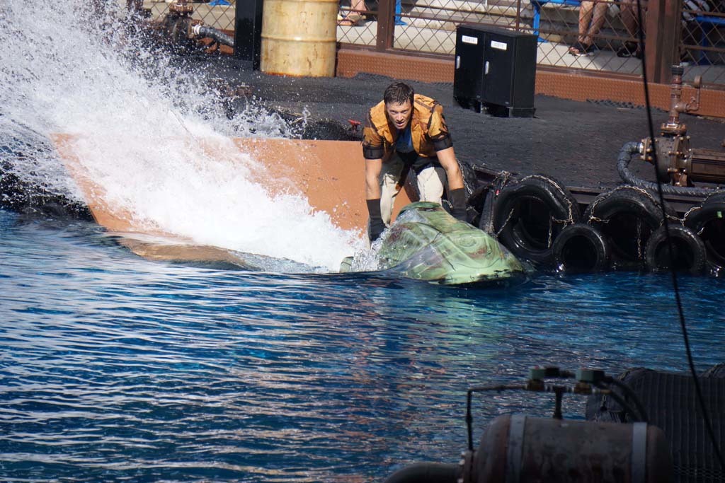 USJ ウォーターワールド @2018-09-11 : (新)トラちゃん&ちー