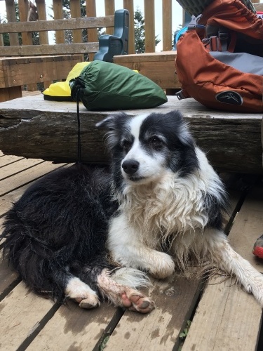 c0369344_19230358.jpeg