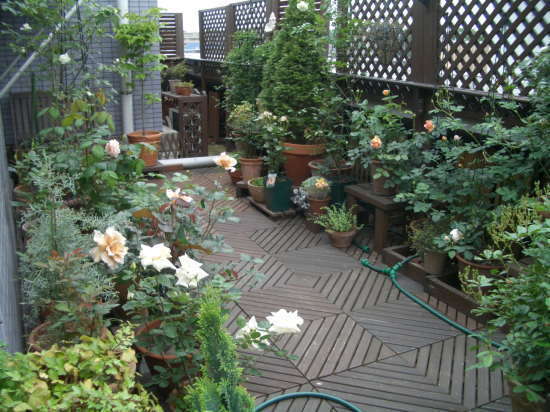 f0329049_21442807.jpg