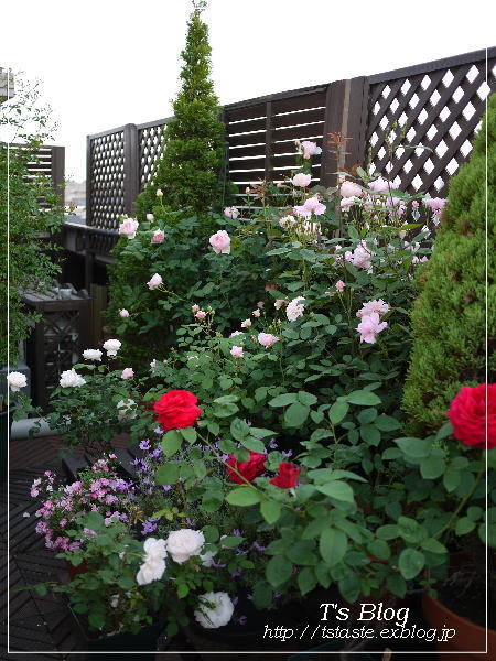 f0329049_21445868.jpg