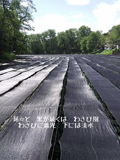 c0134850_14272745.jpg