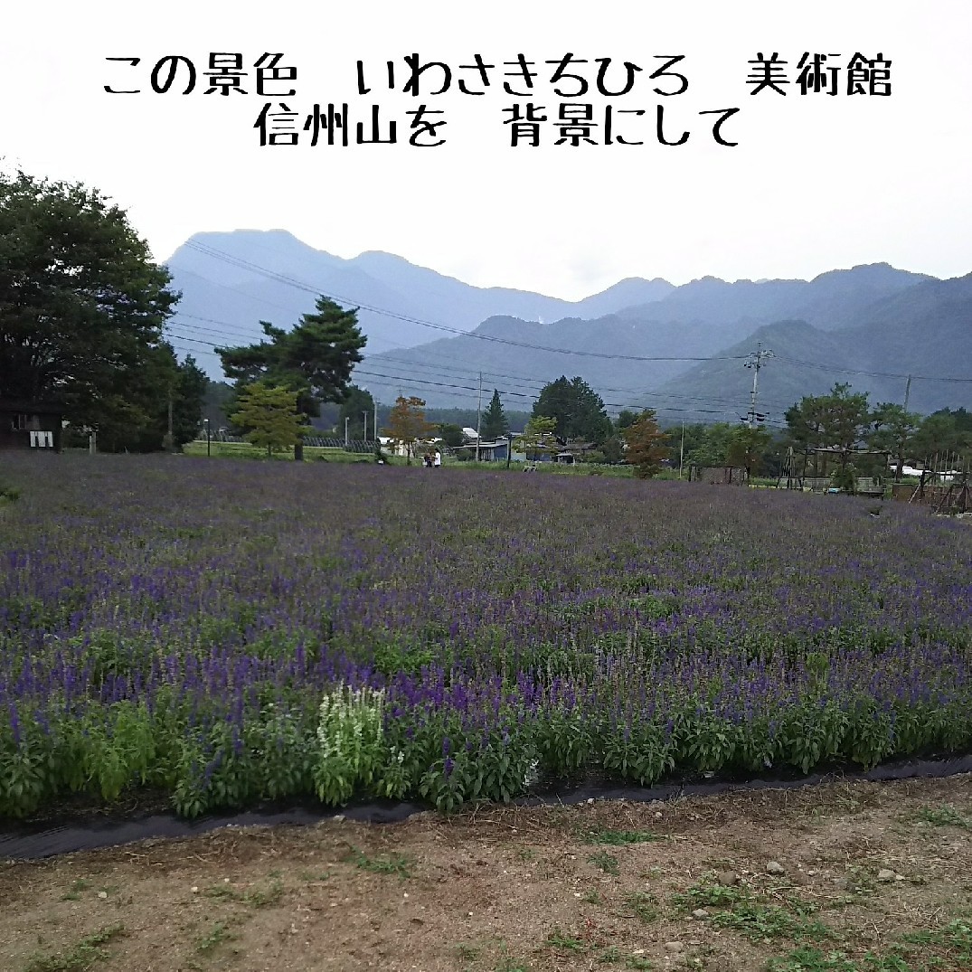 c0134850_14283028.jpg