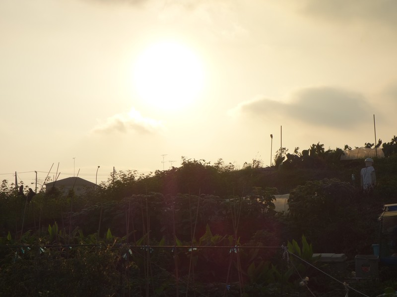 f0291154_036567.jpg