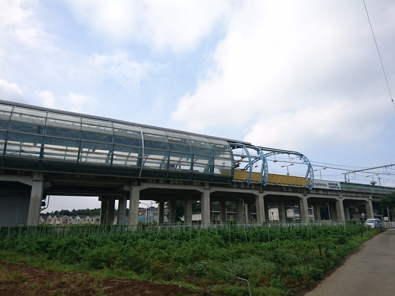 f0291154_082848.jpg
