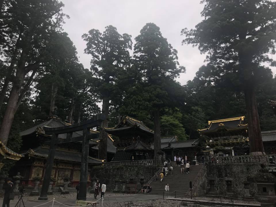 b0002156_14331136.jpg