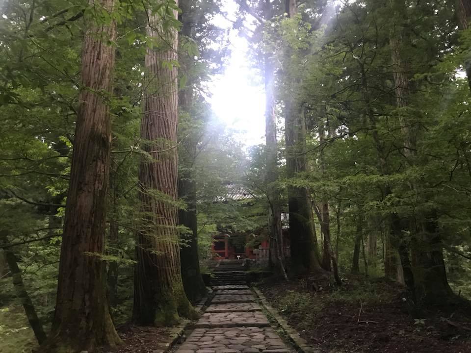 b0002156_14354811.jpg