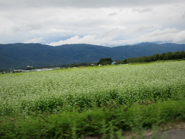 f0236260_17090882.jpg
