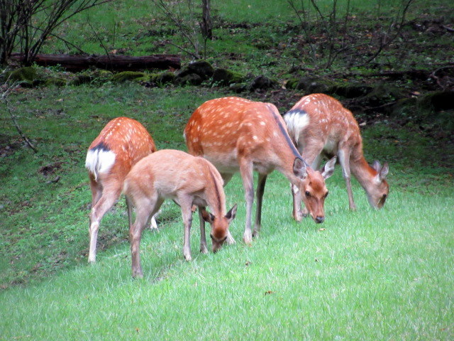 f0236260_17093779.jpg