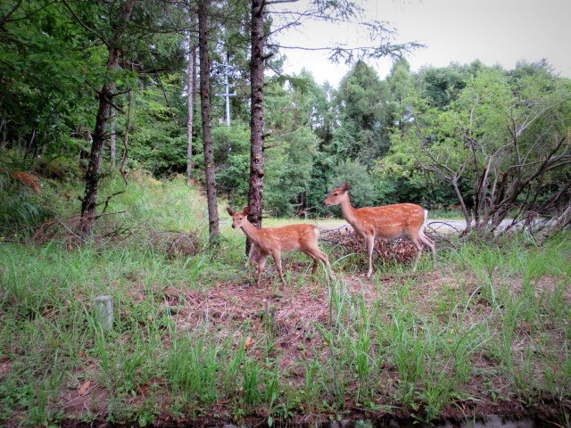 f0236260_17102755.jpg