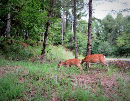 f0236260_17490804.jpg