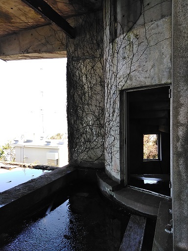 c0172261_15541251.jpg