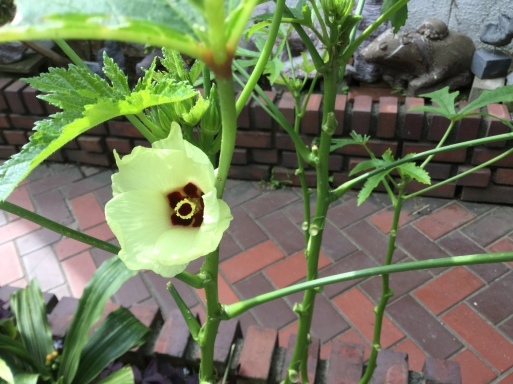 a0053063_11411823.jpeg
